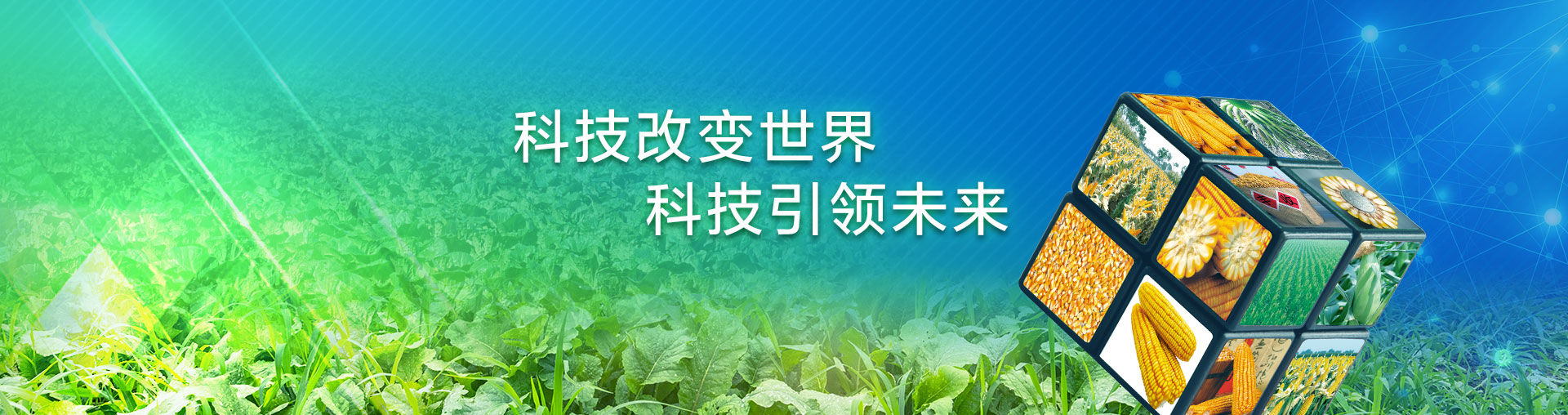 领先康地 Leadcd 秦皇岛领先康地农业技术有限公司